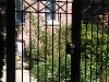 2-35-x-factor-wrought-iron-gate